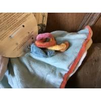 Bukowski Chicky tutdoekje