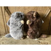 Bukowski bevers JOJO & TITI