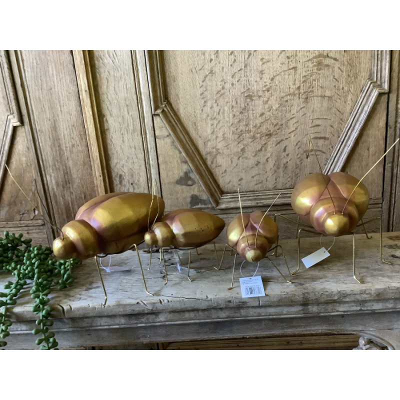 Set ban 4 forse kevers