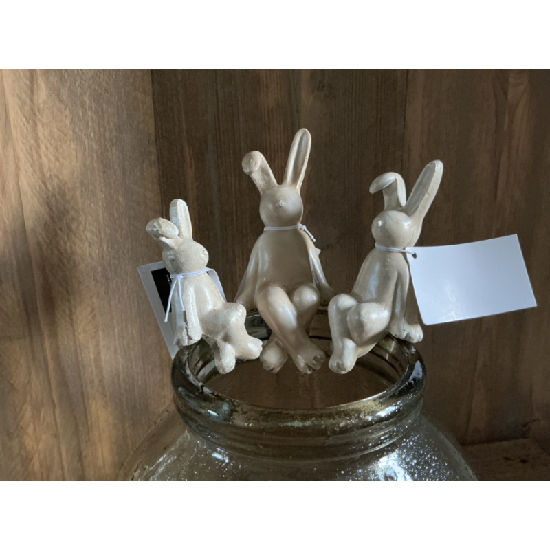 Set van 3 vaashangers konijntjes