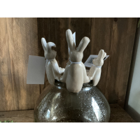 Set van 3 vaashangers konijntjes