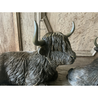 Set forse liggende Schotse Hooglanders 