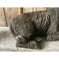 Set forse liggende Schotse Hooglanders 