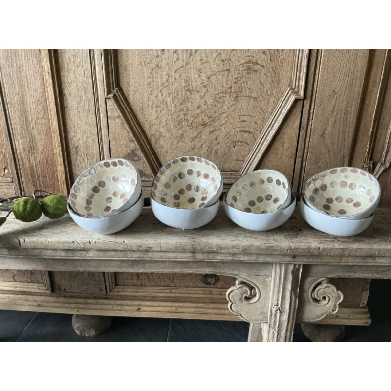 Set van 8 cocos schaaltjes met parelmoer
