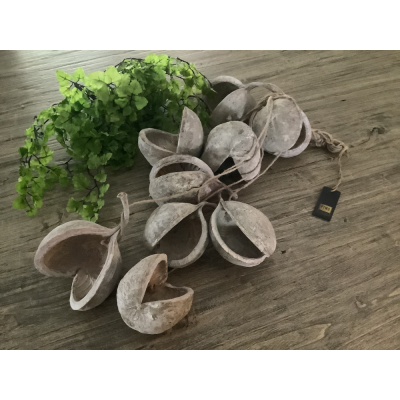 PTMD coconut hanger PTMD coconut hanger