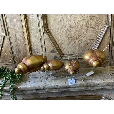 Set ban 4 forse kevers