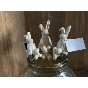 Set van 3 vaashangers konijntjes