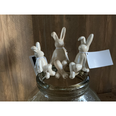 Set van 3 vaashangers konijntjes