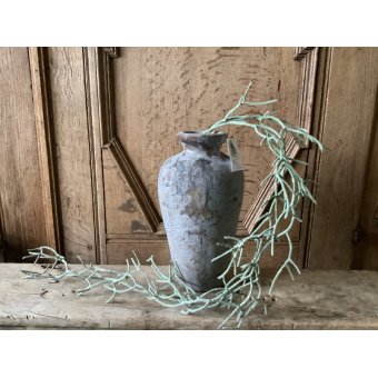 Rhipsalis hangtak Rhipsalis hangtak