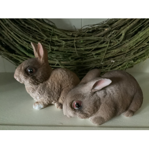 Set lieve konijntjes