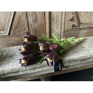 3 bosjes tulpen rood paars