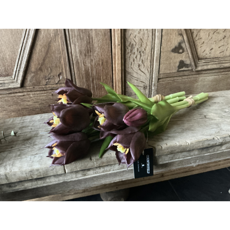 3 bosjes tulpen rood paars