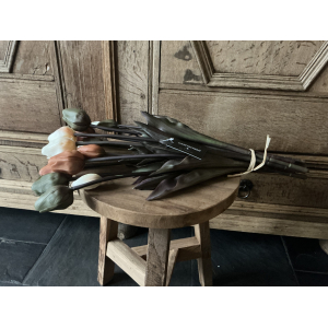 Grote bos tulpen terra groen en creme