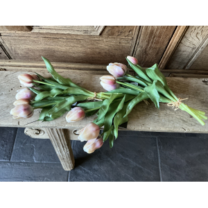 3 bosjes tulpen creme roze