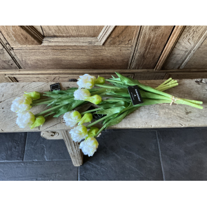 3 bos witte parrot tulpen