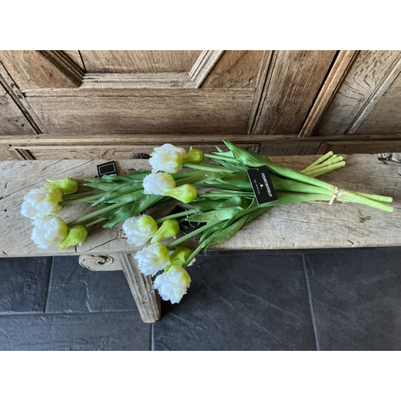 3 bos witte parrot tulpen