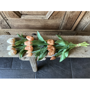 3 bosjes tulpen  zalm oranje roest