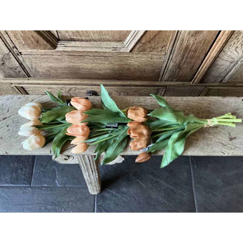 3 bosjes tulpen  zalm oranje roest