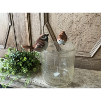 Vaas of pot hanger vogel mus