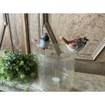 Vaas of pot hanger vogel mus
