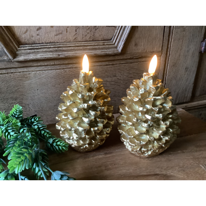 Set van 2 dennenappels led kaarsen