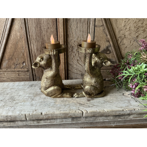 Set PTMD windlichten muizen