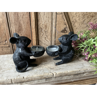 Set zwarte winlichten muizen