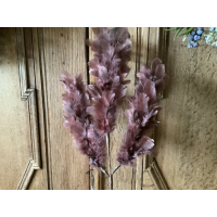 Set PTMD veren takken bordeaux