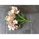 Hele grote tak clematis