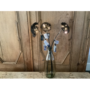 Set van 3 Berenklauw zwart met led