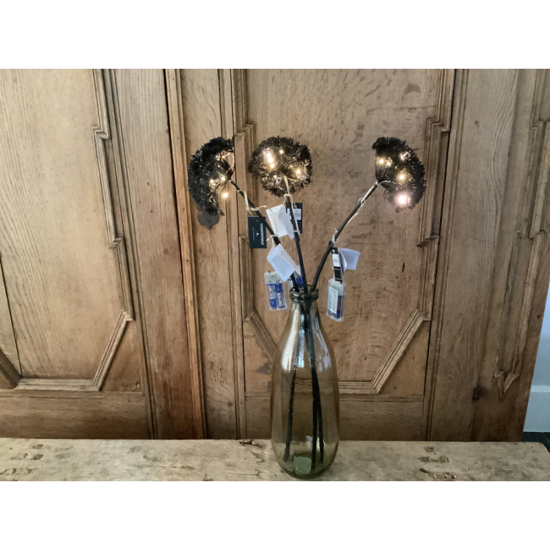 Set van 3 Berenklauw zwart met led