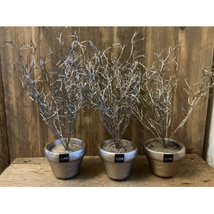 Set van 3 champagne potjes kunstplantjes 