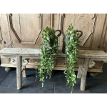 Set van 2 hangende kunsttakken Hedera