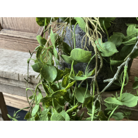 Set van 2 hangende kunsttakken Hedera