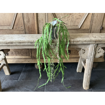 Kunstplant zaagcactus