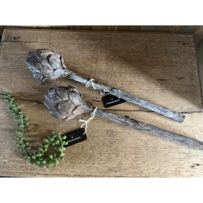 Set Countryfield artisjokken