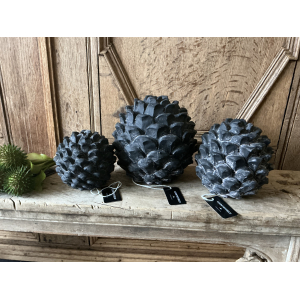 Set dennenappels beelden