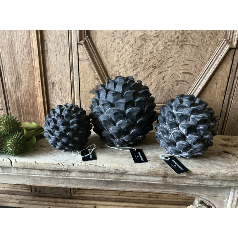 Set dennenappels beelden