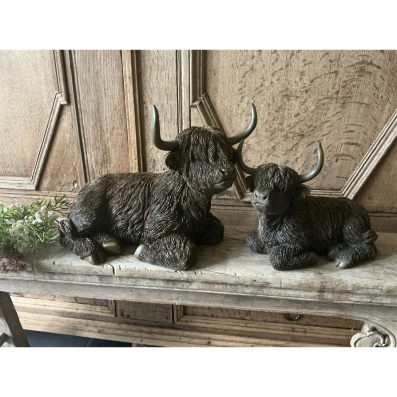 Set forse liggende Schotse Hooglanders