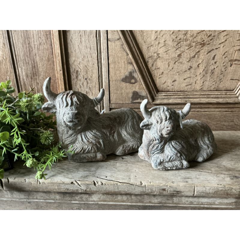 Set liggende Schotse Hooglanders