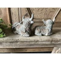 Set liggende Schotse Hooglanders