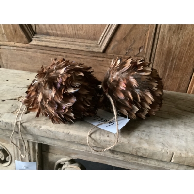 Leuke veren bollen Leuke veren bollen
