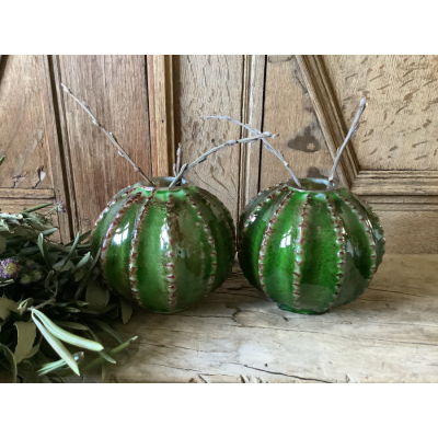 Set kleine cactus vaasjes Set kleine cactus vaasjes