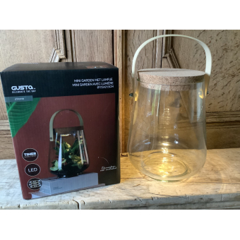 Gusta planten terrarium met led lamp